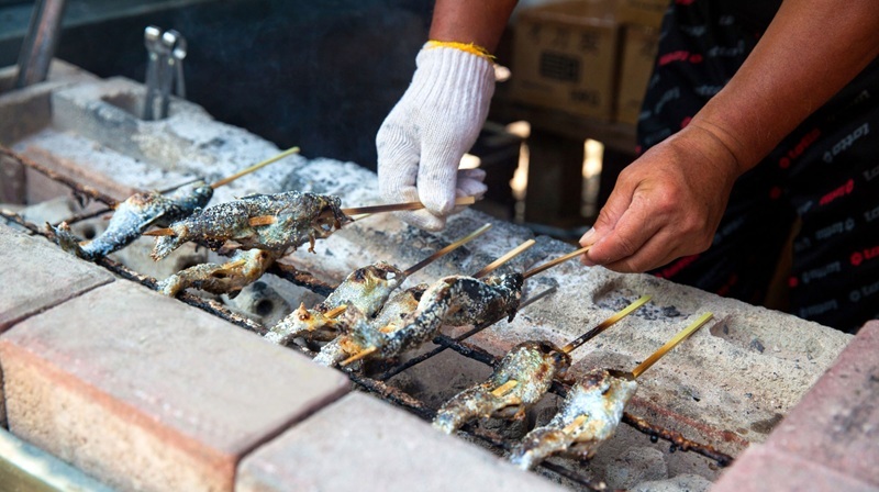 株式会社アルテミス（フィッシングエリアやま里）